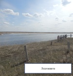 Ледозащита